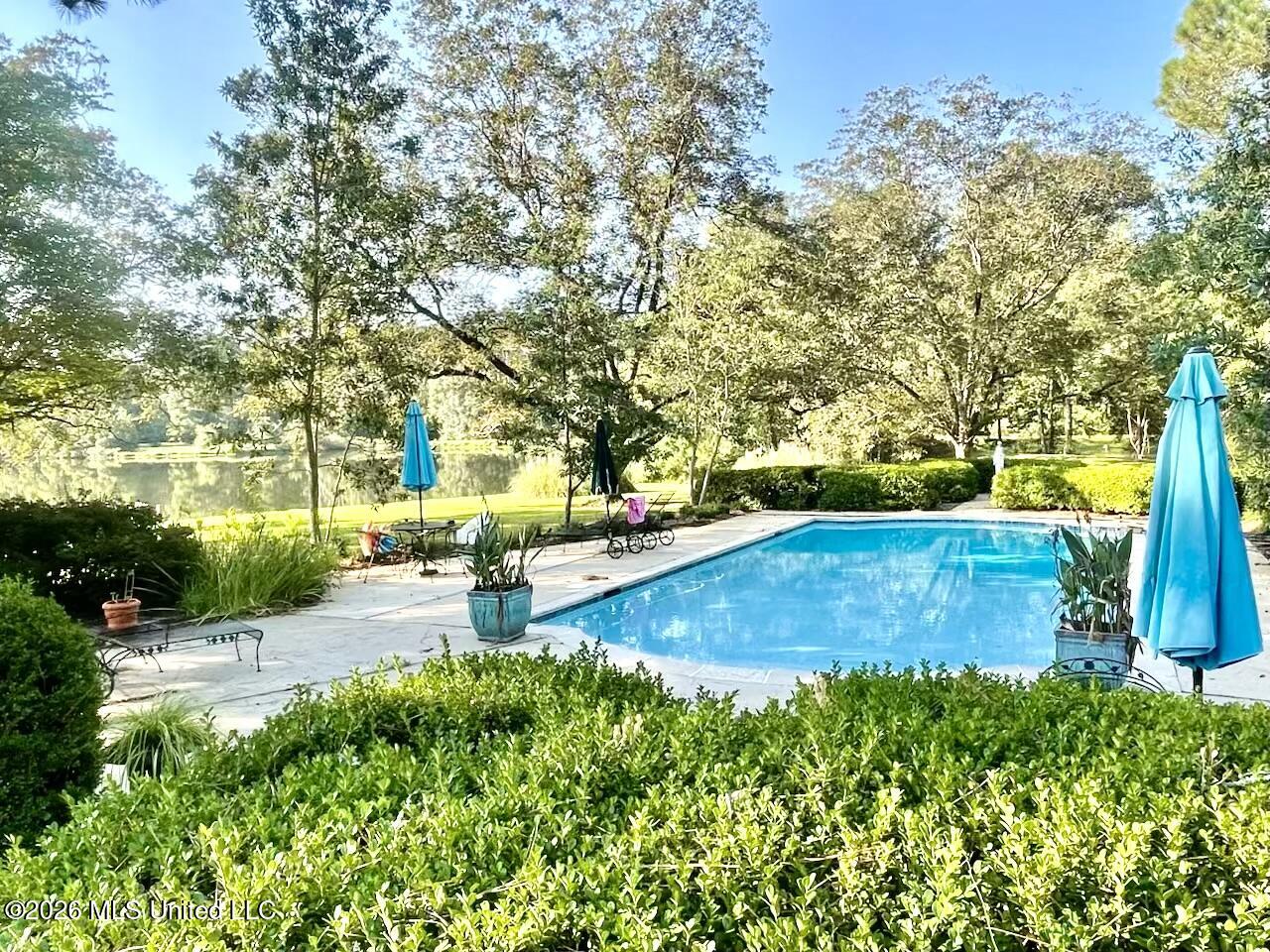 1858 East Lincoln Road Southeast Brookhaven, MS 39601 - Photo 17 of 74 Pool close up