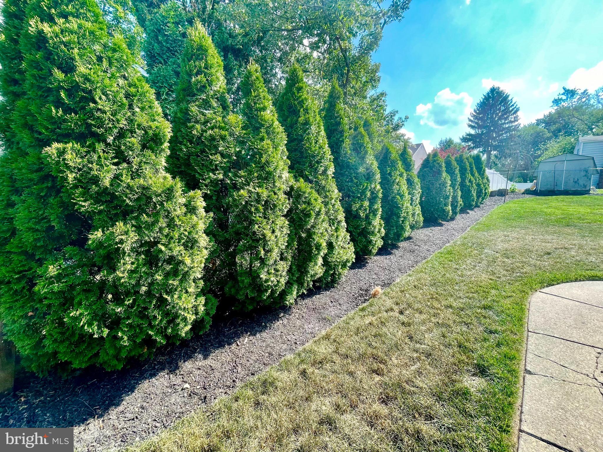 127 Haines Mill Road Delran, NJ 08075 - Photo 26 of 27