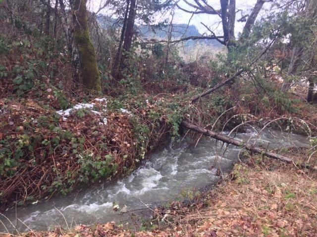 6555 Hugo Road Grants Pass, OR 97526 - Photo 2 of 31 Beautiful Bummer Creek runs through the