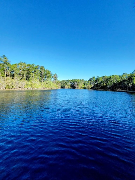 723 St Bernard Trail Waycross, GA 31503 - Photo 72 of 73