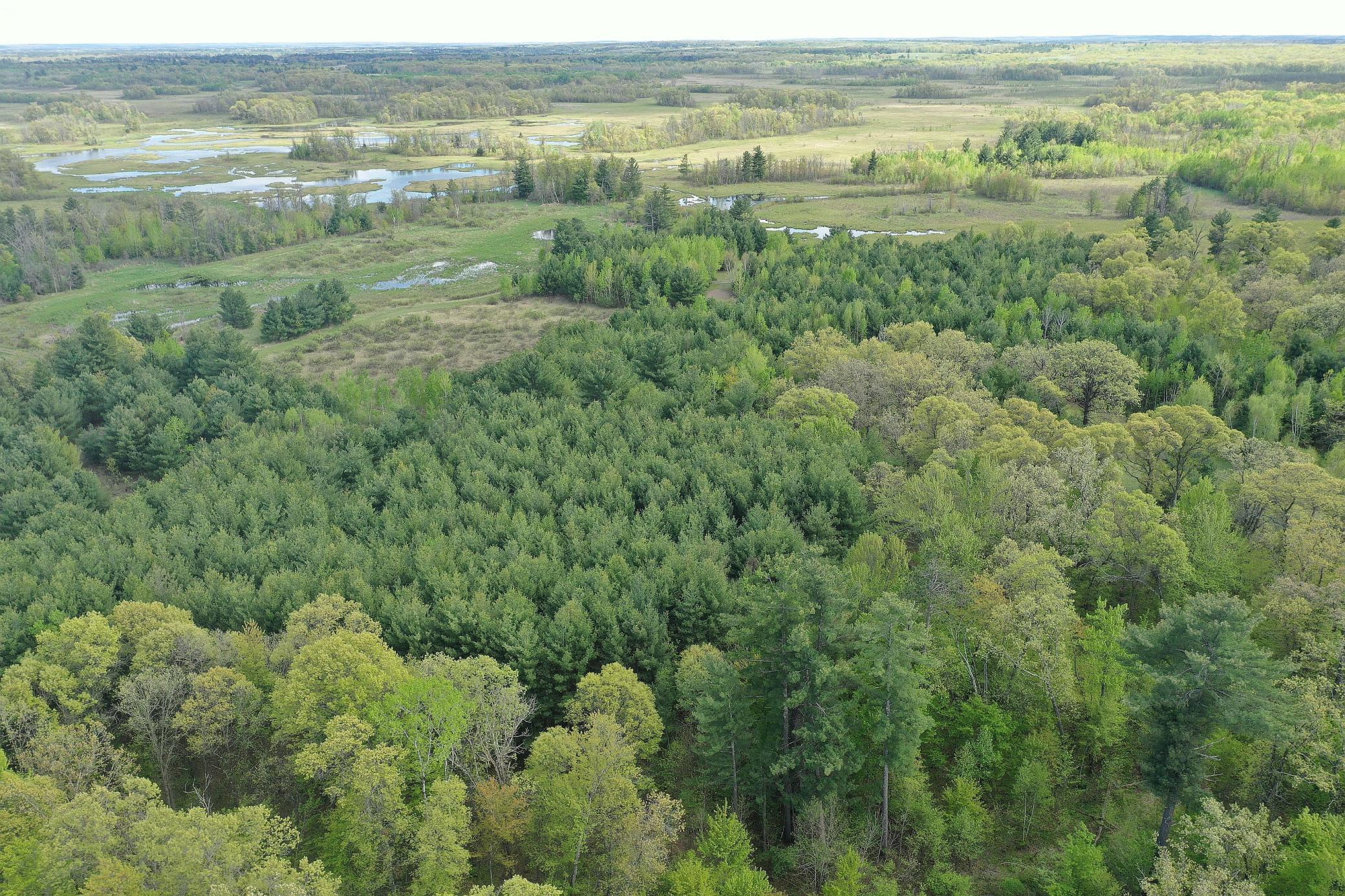 25275 Bruss Road Webster, WI 54893 - Photo 33 of 36