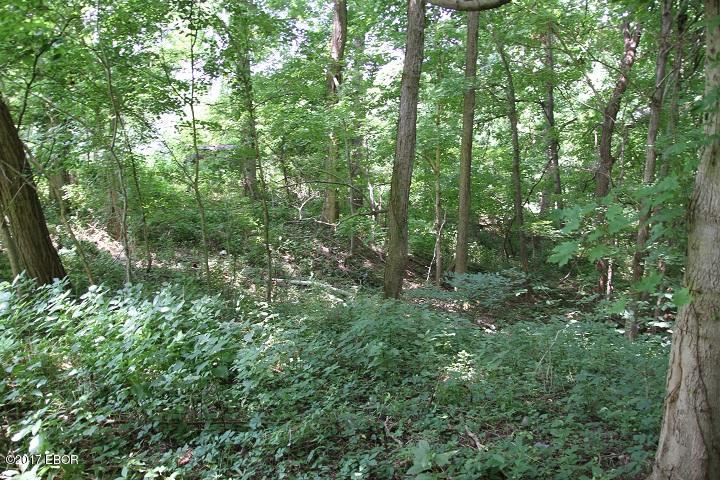 0 Boyd's Addition Cave In Rock, IL 62919 - Photo 1 of 10