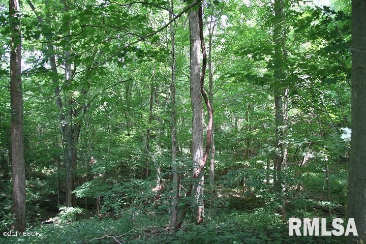 0 Boyd's Addition Cave In Rock, IL 62919 - Photo 5 of 10