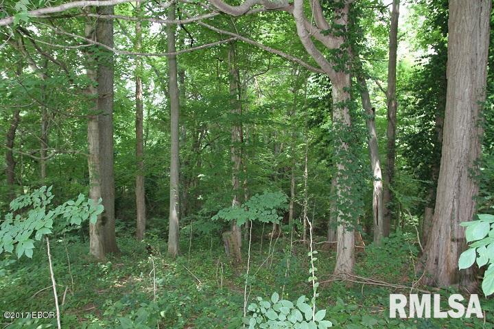 0 Boyd's Addition Cave In Rock, IL 62919 - Photo 6 of 10