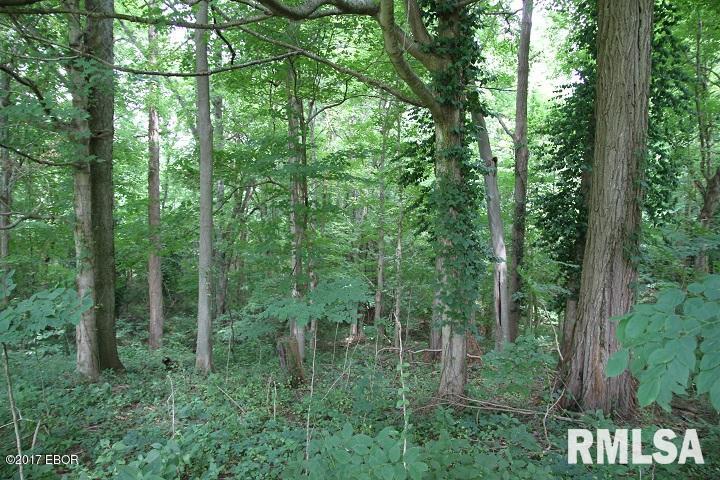0 Boyd's Addition Cave In Rock, IL 62919 - Photo 7 of 10