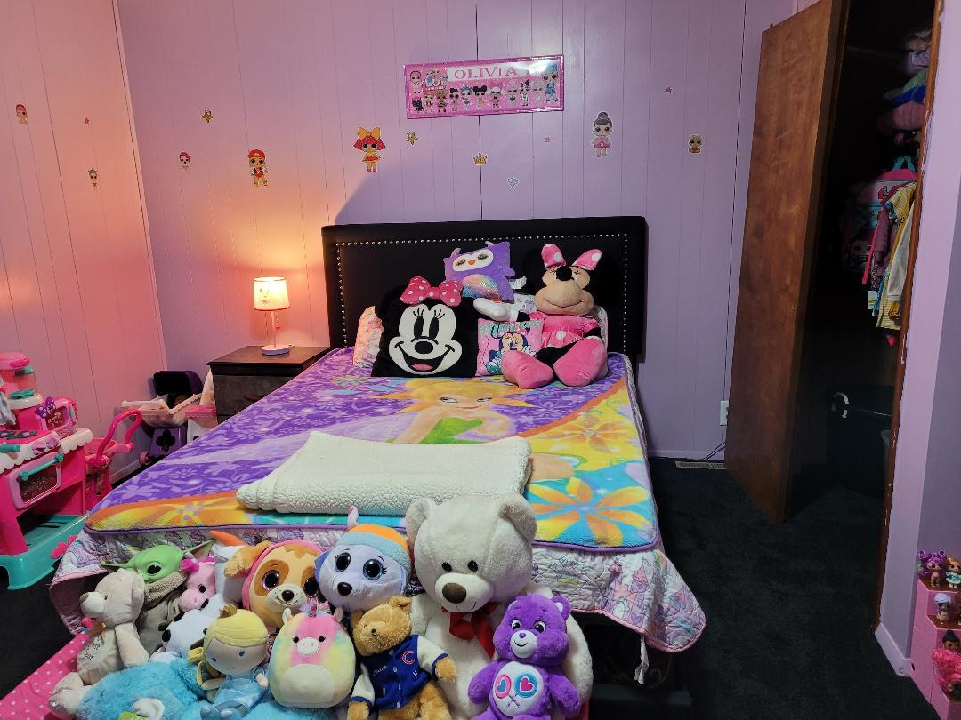 205 South Poplar Street Onarga, IL 60955 - Photo 6 of 14