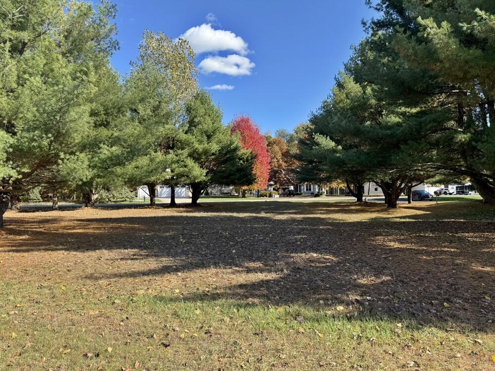 7600 Ryans Run Road Stanwood, MI 49346 - Photo 21 of 21 21. Extra Lot