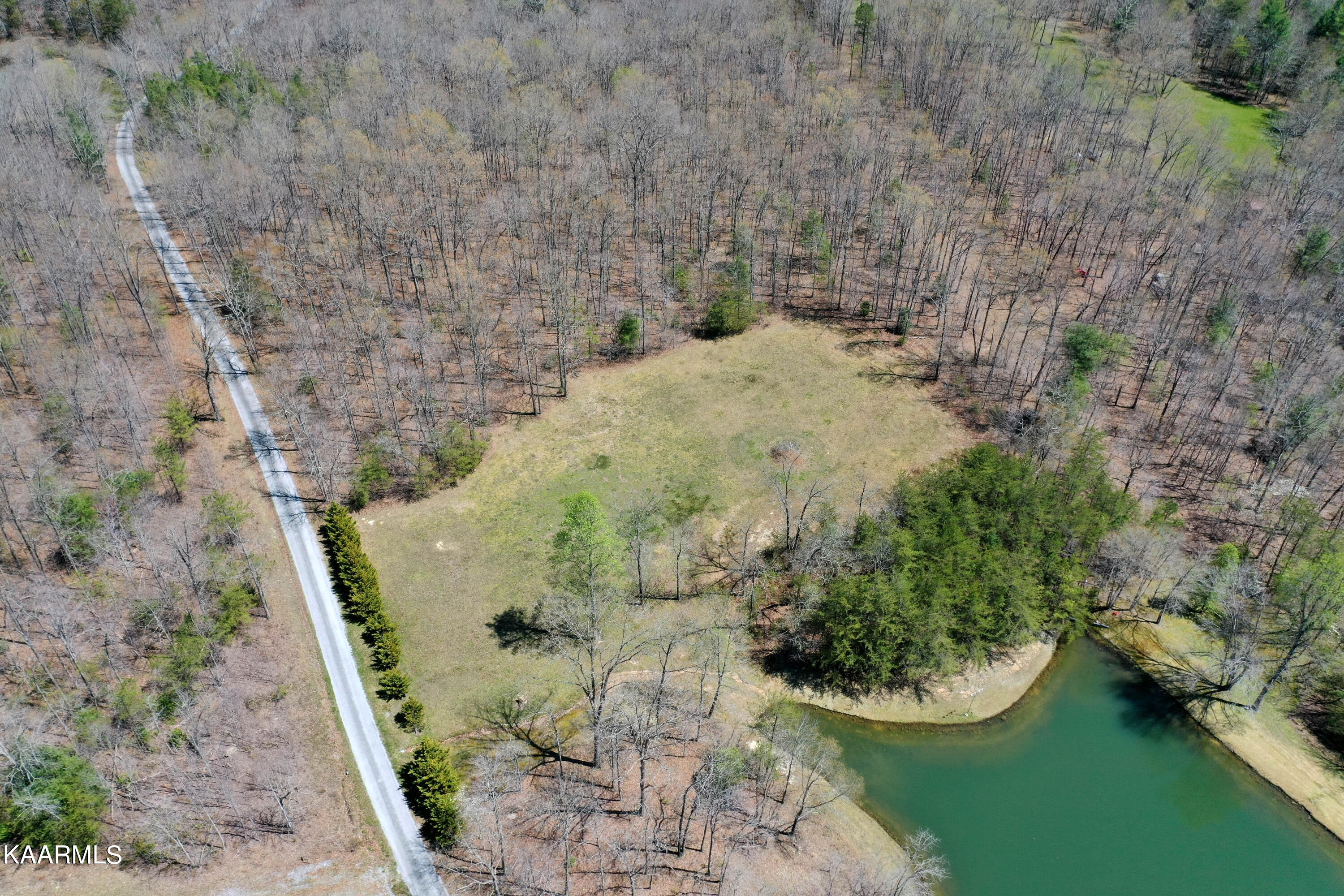 226 Davidson Road Lancing, TN 37770 - Photo 8 of 9 DJI_0223-3