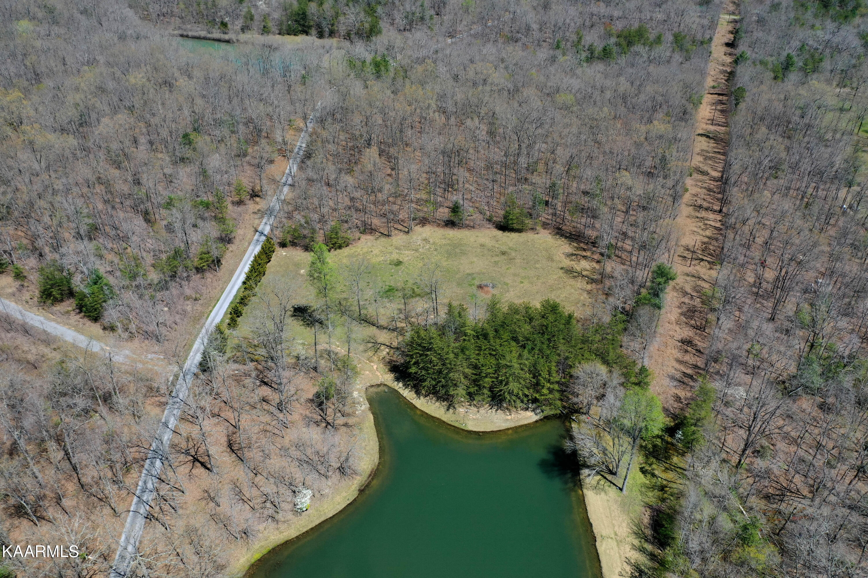 226 Davidson Road Lancing, TN 37770 - Photo 9 of 9 DJI_0222-3