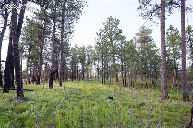 12812 Goodson Road Colorado Springs, CO 80908 - Photo 3 of 12