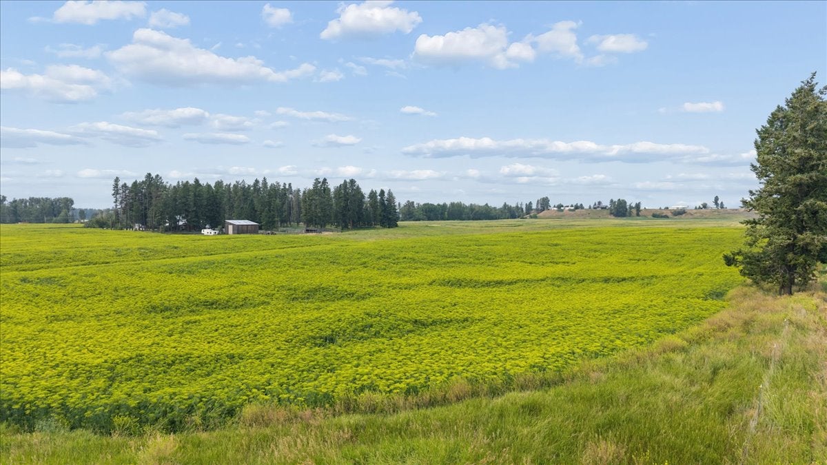 480 Egan Road Kalispell, MT 59901 - Photo 38 of 41 Gallery Image 38