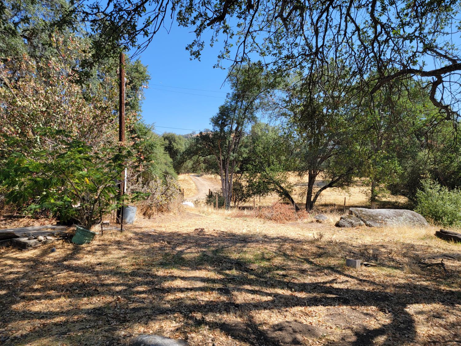 37041 Dunlap Road Squaw Valley, CA 93675 - Photo 6 of 24 a view of a yard with trees