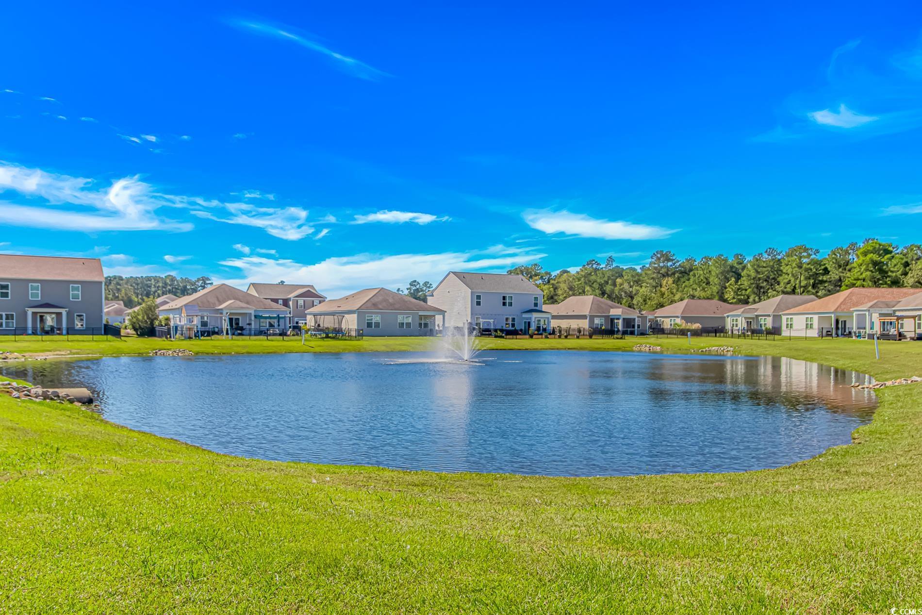 575 Affinity Drive Myrtle Beach, SC 29588 - Photo 25 of 31