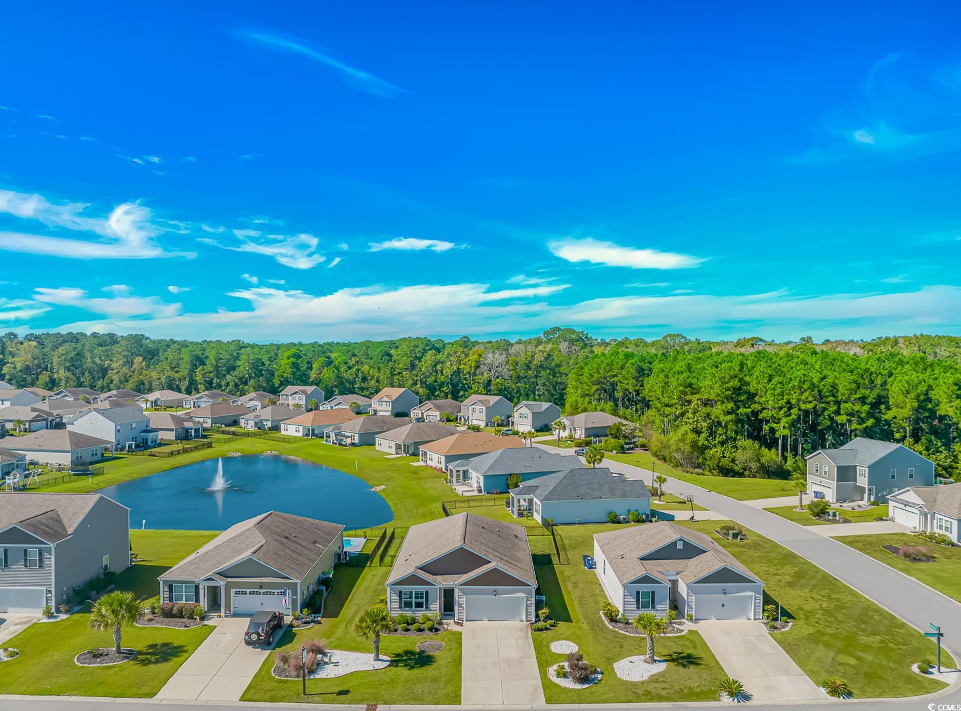 575 Affinity Drive Myrtle Beach, SC 29588 - Photo 28 of 31