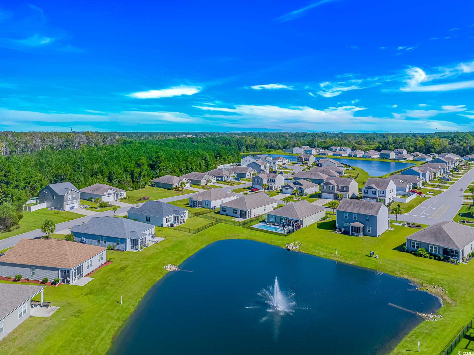 575 Affinity Drive Myrtle Beach, SC 29588 - Photo 30 of 31