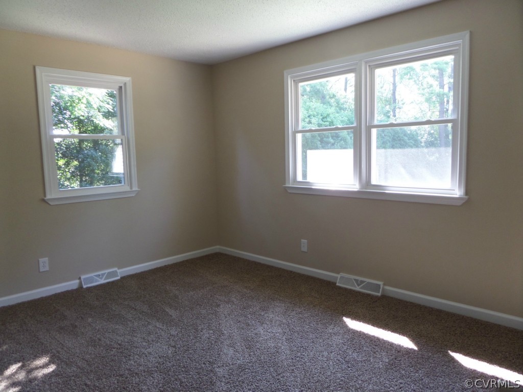 20130 River Road Sutherland, VA 23885 - Photo 10 of 15 Gallery Image 10