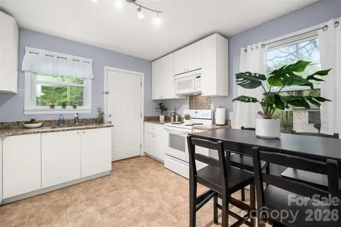 a kitchen with stainless steel appliances granite countertop white cabinets a stove a sink and a potted plant