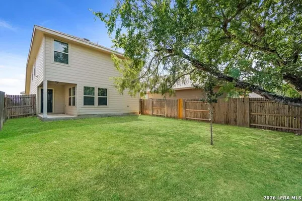 a backyard of a house with plants and large tree