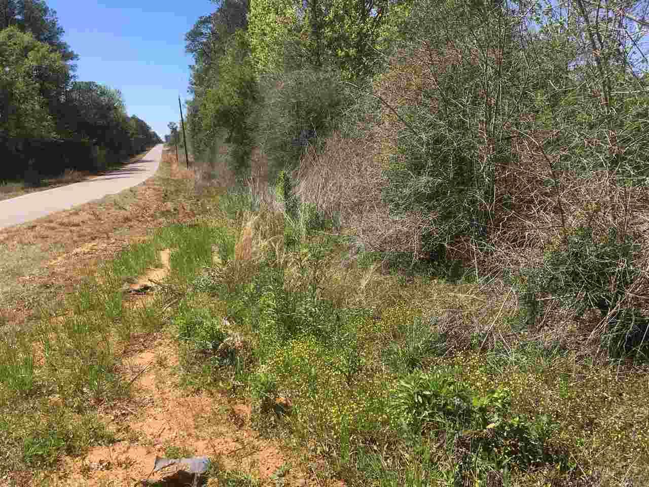 3230 Foshee Road Brewton, AL 36426 - Photo 4 of 6