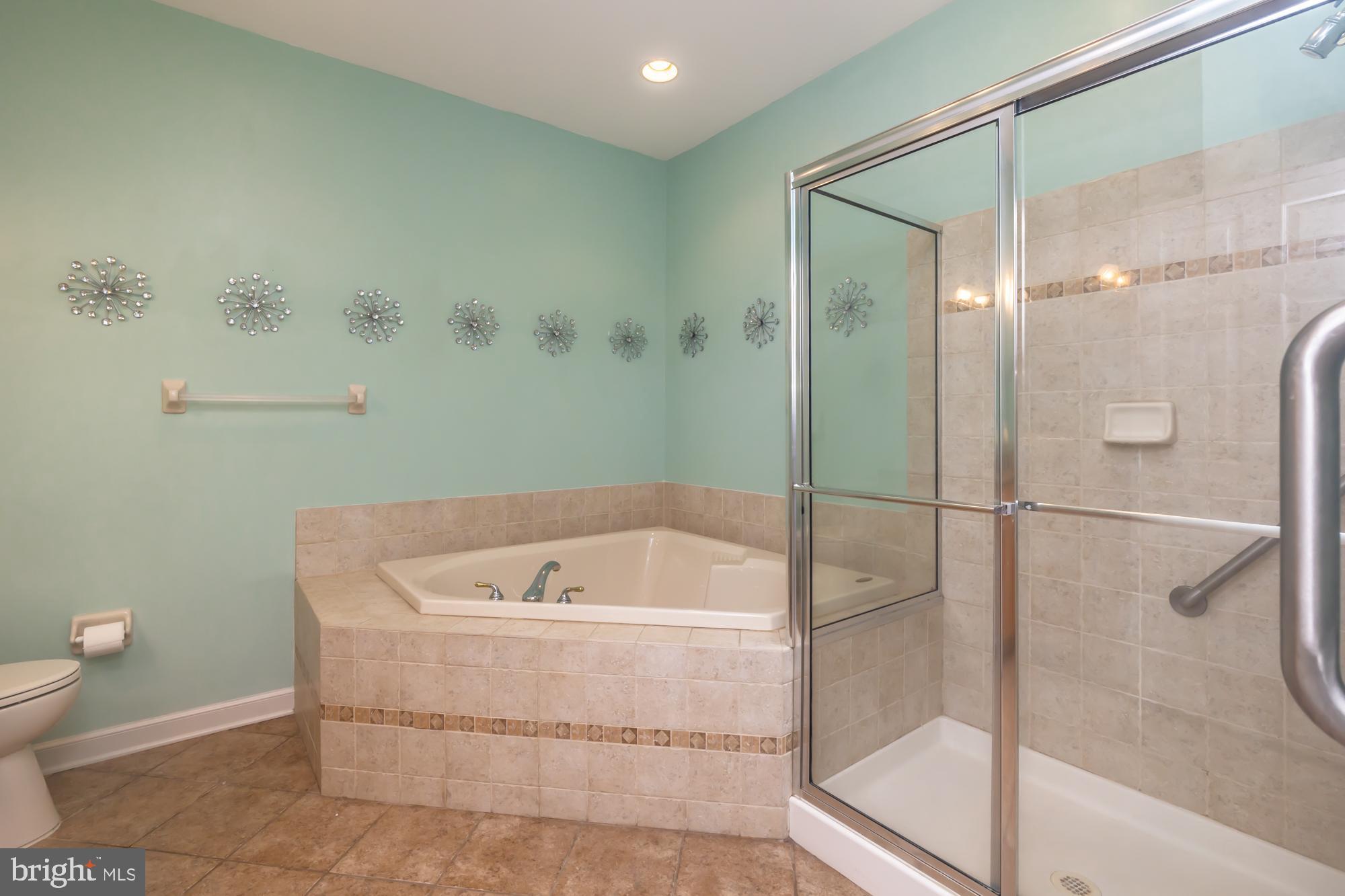 105 Hulnick Road, Unit 438 Coatesville, PA 19320 - Photo 25 of 43 primary bathroom soaking tub