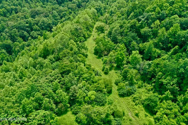 $4,800,000 | Wool Lane, Newcomb, TN 37819