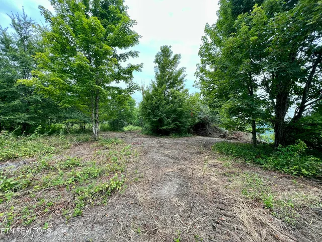 $4,800,000 | Wool Lane, Newcomb, TN 37819