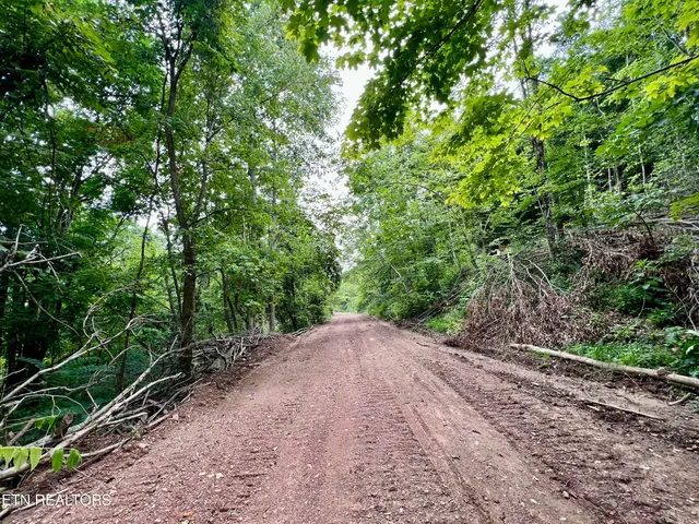 $4,800,000 | Wool Lane, Newcomb, TN 37819