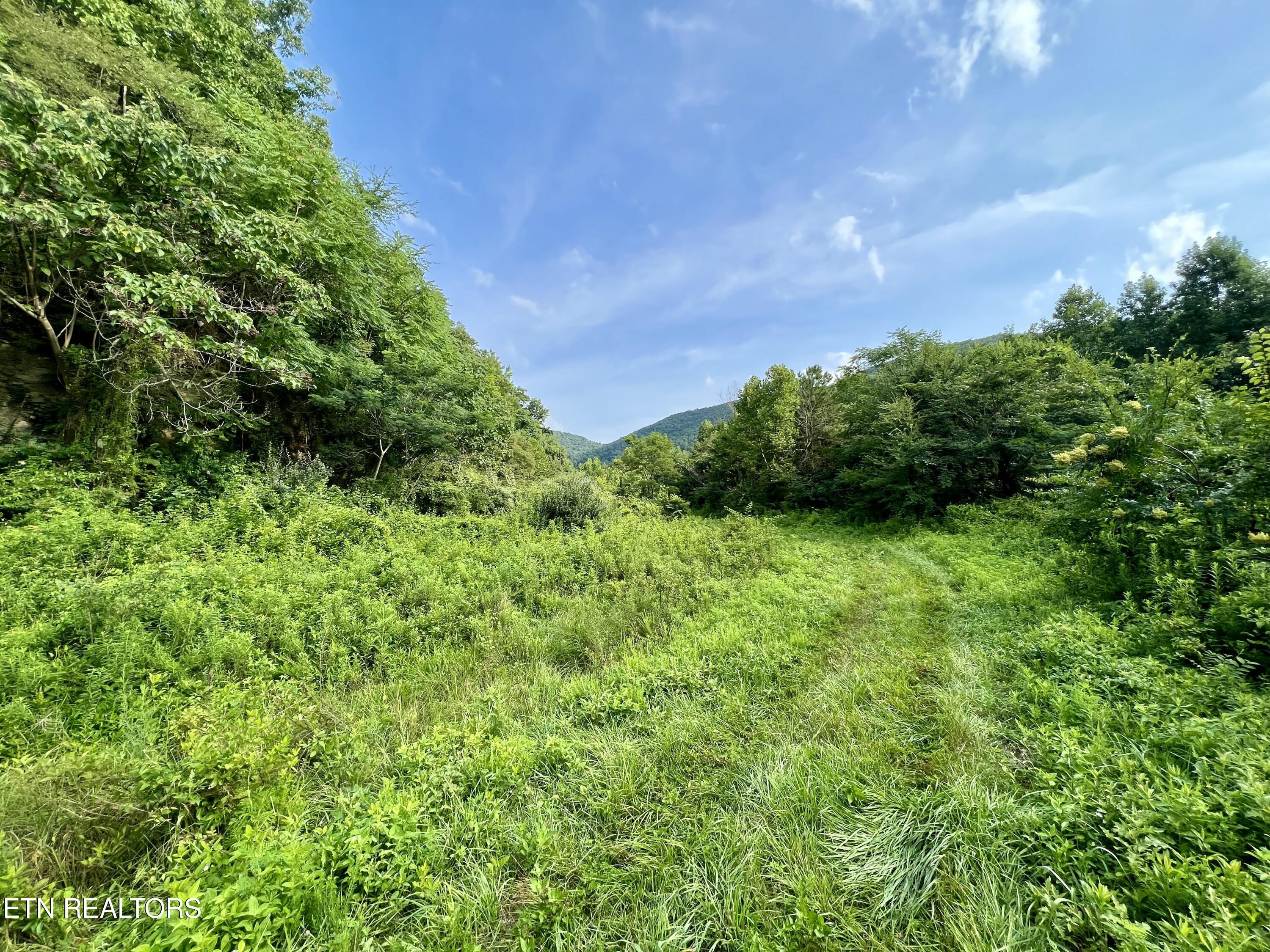 Wool Lane Newcomb, TN 37819 - Photo 18 of 59 tempImagepl1IK3