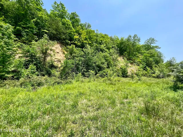 $4,800,000 | Wool Lane, Newcomb, TN 37819