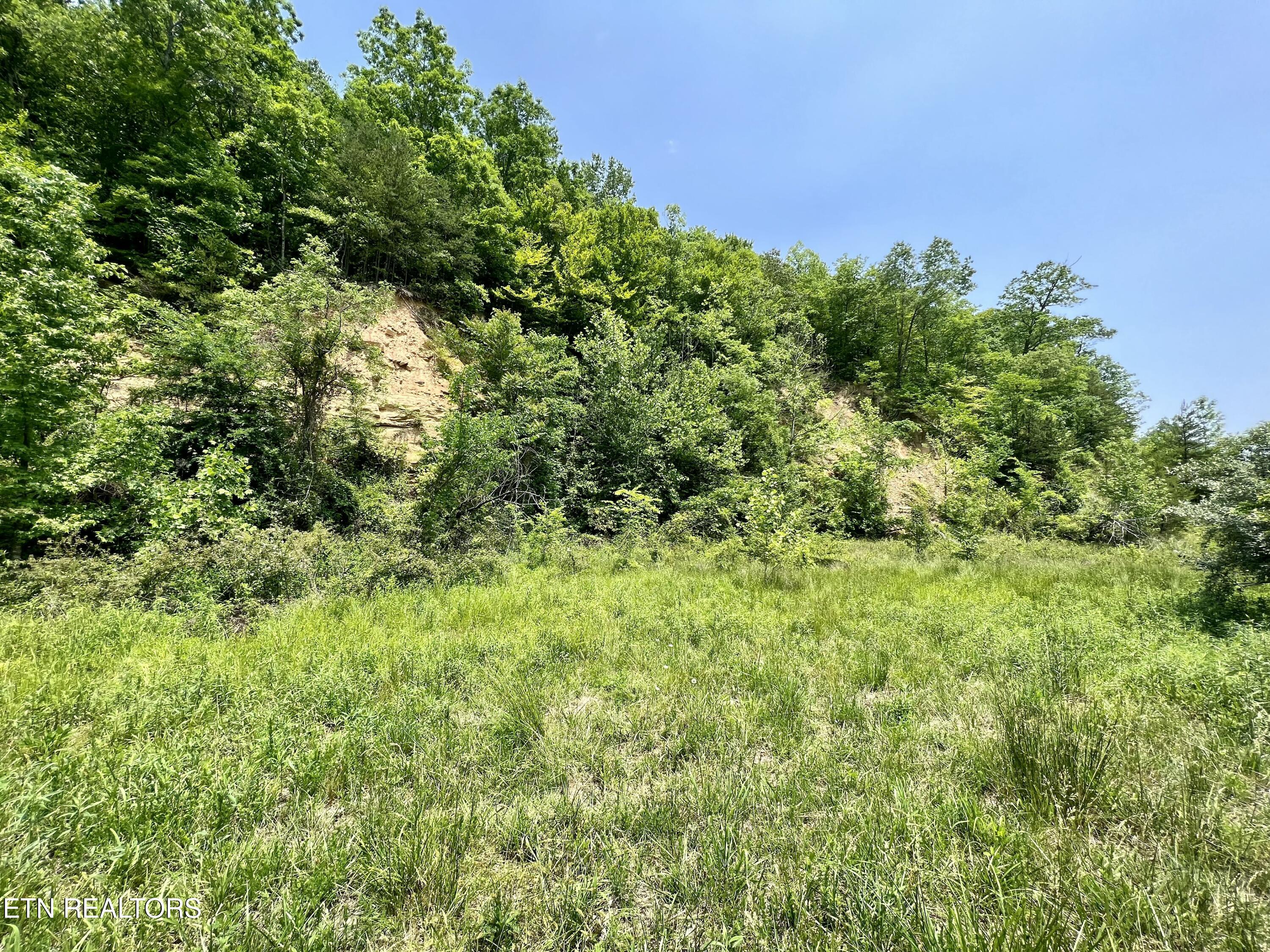 Wool Lane Newcomb, TN 37819 - Photo 19 of 59 tempImagexe02Dz