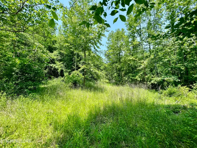 $4,800,000 | Wool Lane, Newcomb, TN 37819