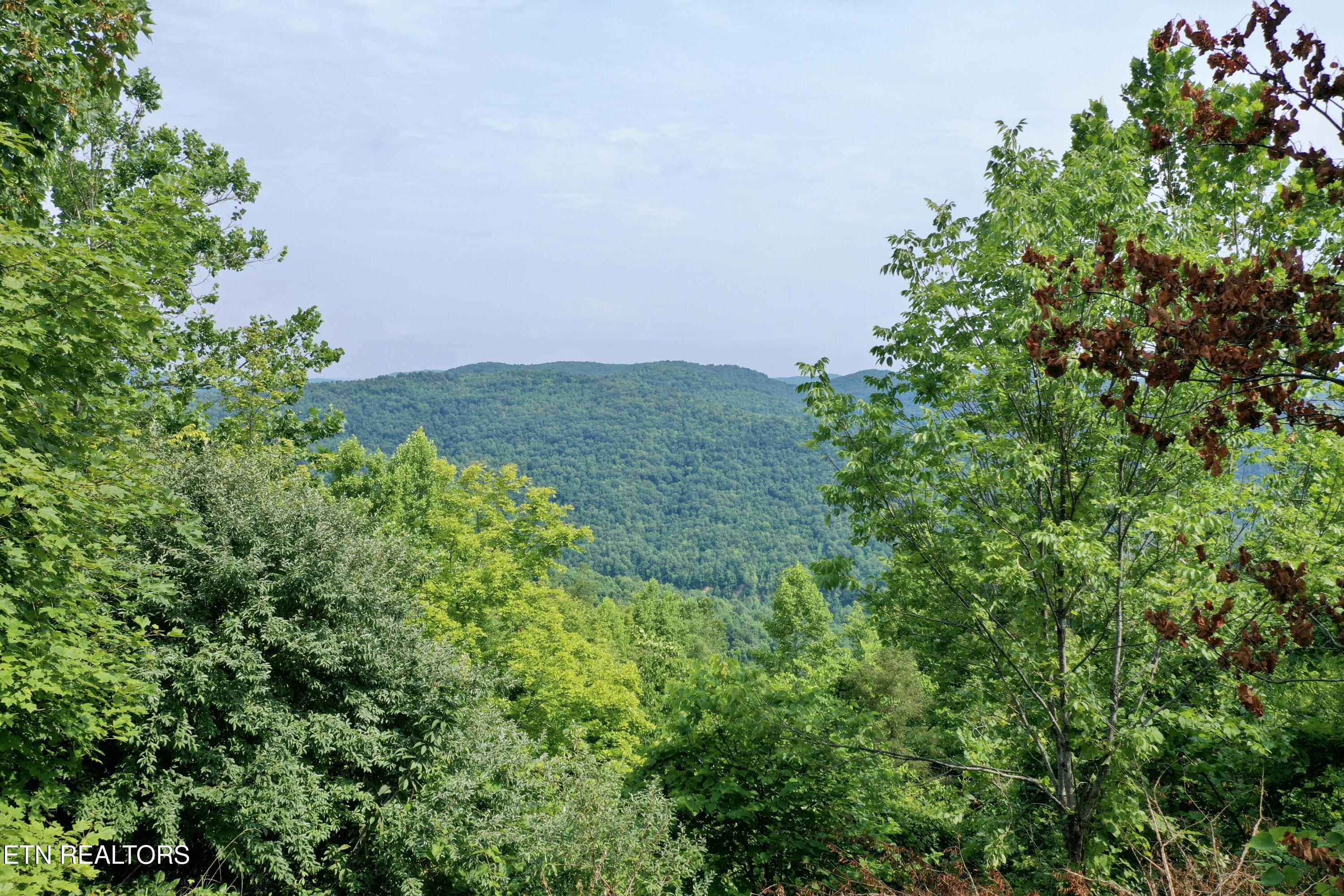 Wool Lane Newcomb, TN 37819 - Photo 2 of 59 tempImageBh8reV