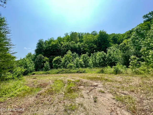 $4,800,000 | Wool Lane, Newcomb, TN 37819