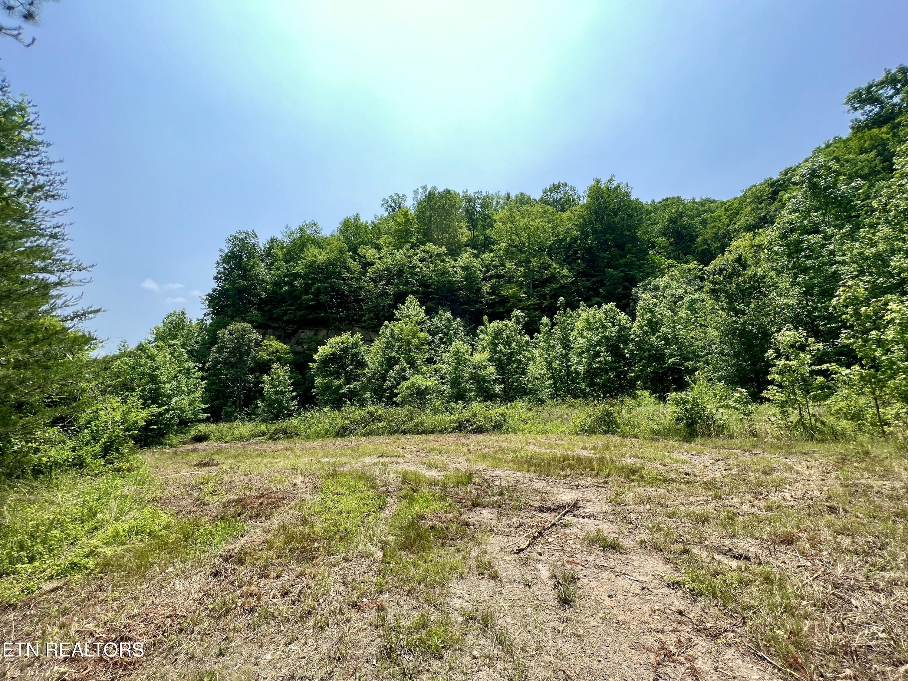 Wool Lane Newcomb, TN 37819 - Photo 21 of 59 tempImageDFPXRt