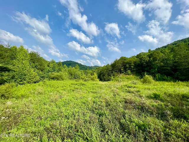 $4,800,000 | Wool Lane, Newcomb, TN 37819