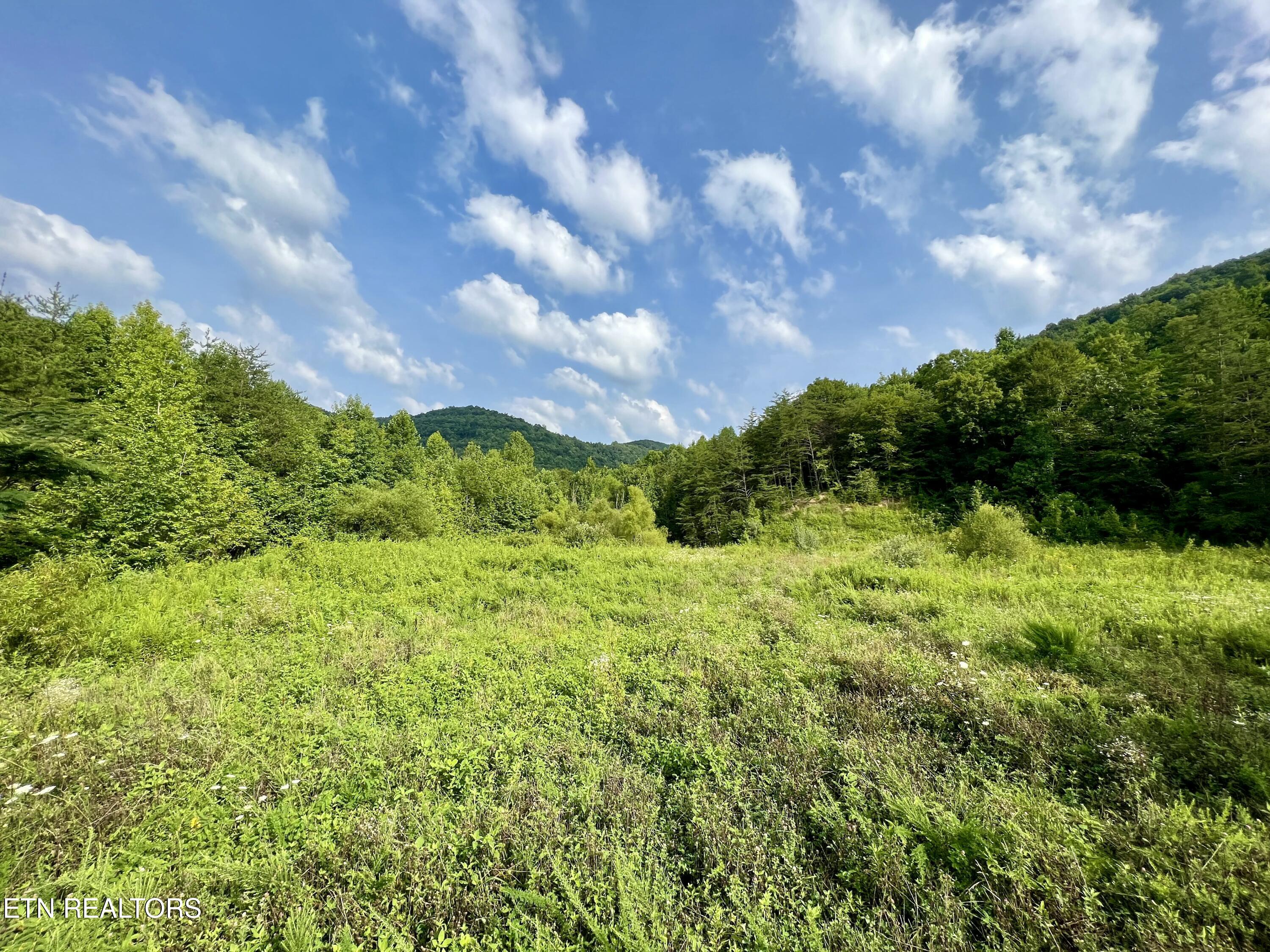 Wool Lane Newcomb, TN 37819 - Photo 22 of 59 tempImagerlsBmk