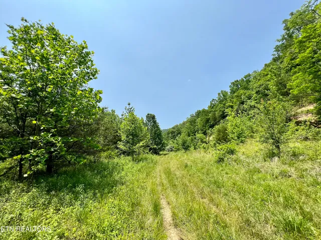 $4,800,000 | Wool Lane, Newcomb, TN 37819