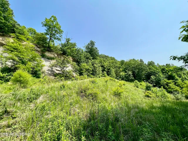 $4,800,000 | Wool Lane, Newcomb, TN 37819