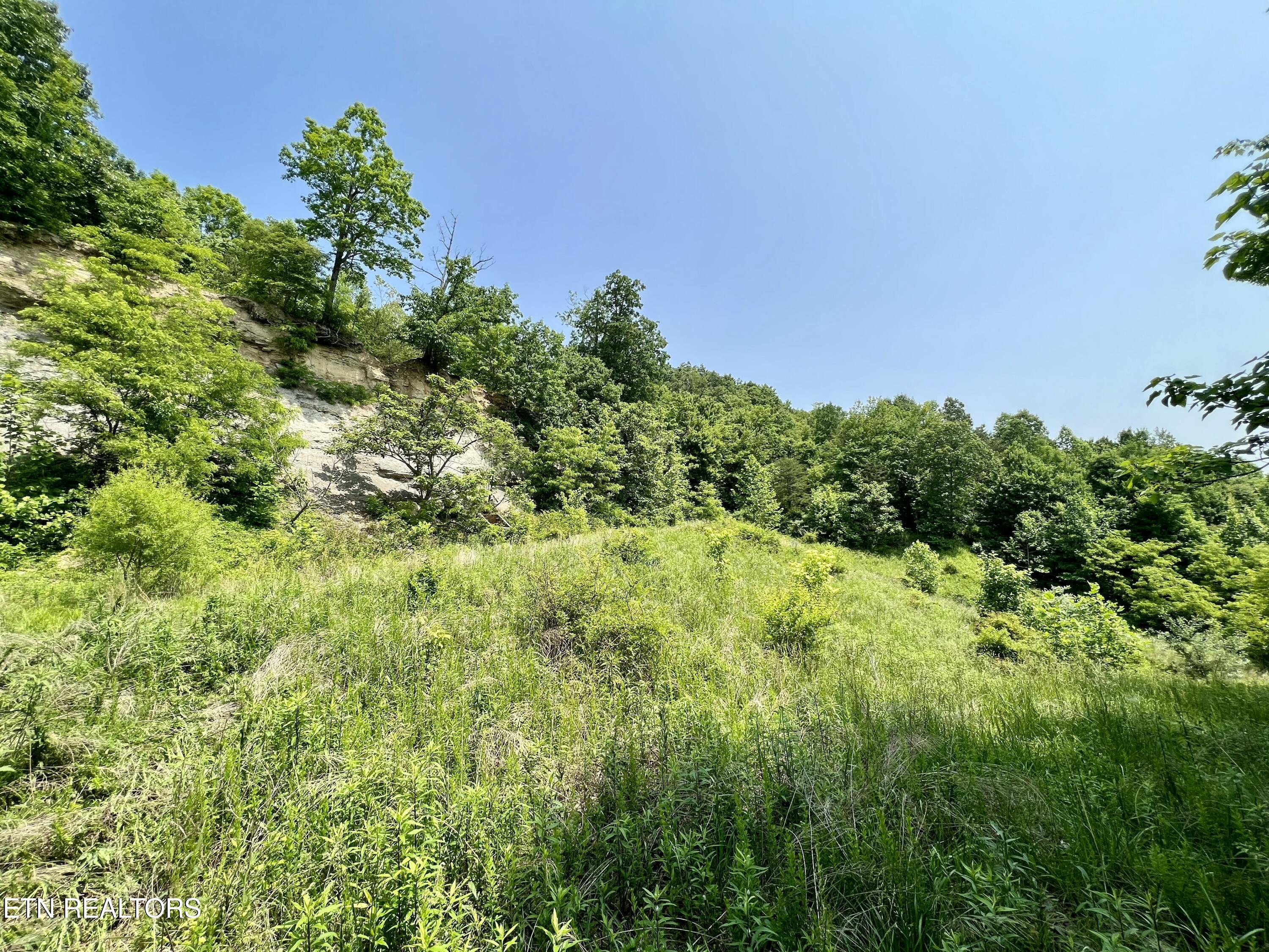 Wool Lane Newcomb, TN 37819 - Photo 24 of 59 tempImageYxtcU1