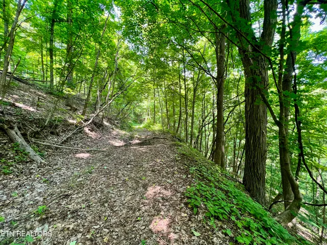 $4,800,000 | Wool Lane, Newcomb, TN 37819