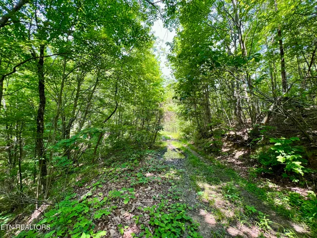 $4,800,000 | Wool Lane, Newcomb, TN 37819