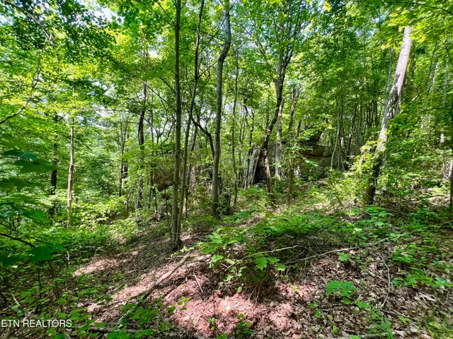 $4,800,000 | Wool Lane, Newcomb, TN 37819