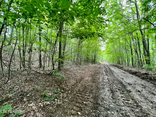 $4,800,000 | Wool Lane, Newcomb, TN 37819