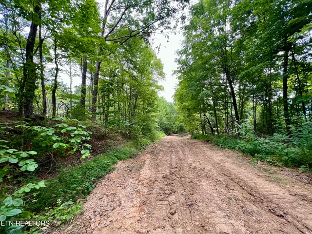$4,800,000 | Wool Lane, Newcomb, TN 37819