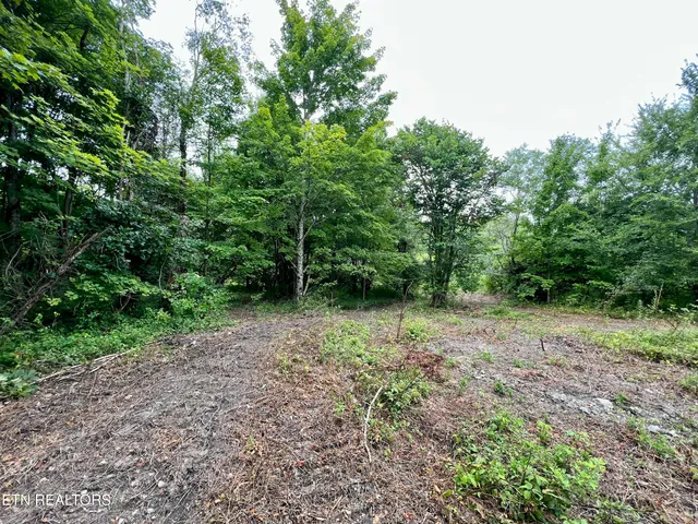 $4,800,000 | Wool Lane, Newcomb, TN 37819