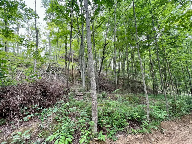 $4,800,000 | Wool Lane, Newcomb, TN 37819