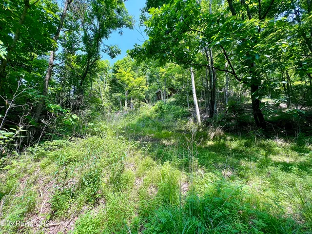 $4,800,000 | Wool Lane, Newcomb, TN 37819