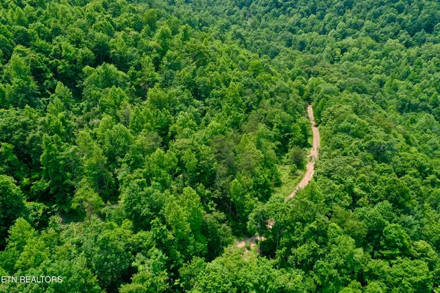 $4,800,000 | Wool Lane, Newcomb, TN 37819