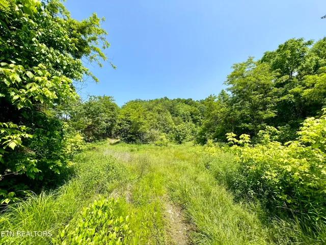 $4,800,000 | Wool Lane, Newcomb, TN 37819