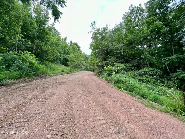 $4,800,000 | Wool Lane, Newcomb, TN 37819